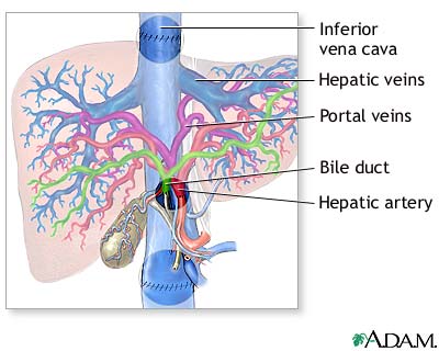 Procedure