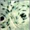 Bone Tissue